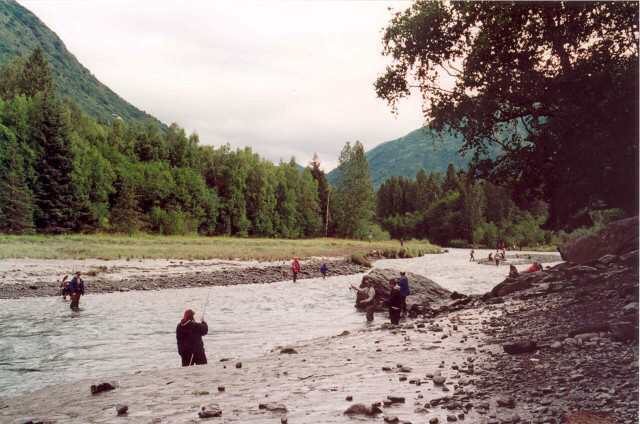 003 Chyt�n� losos�-Bird Creek 