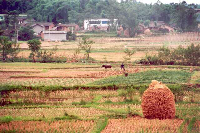 072 R��ov� �n� 