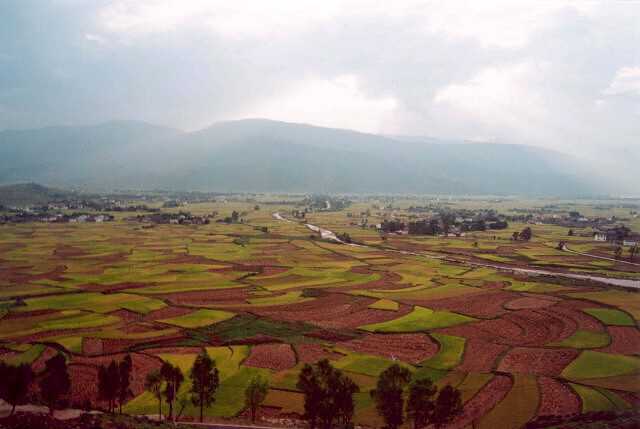 097 R��ov� pol��ka 