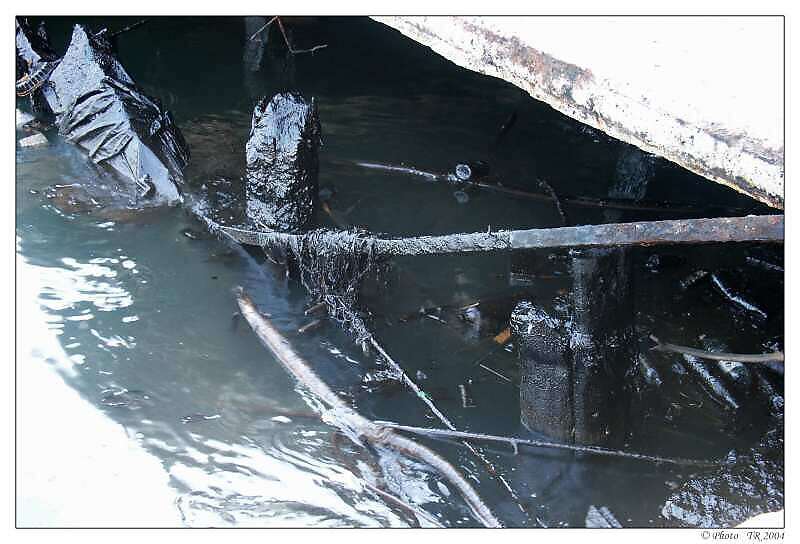 060 Kub�nsk� ekologie 