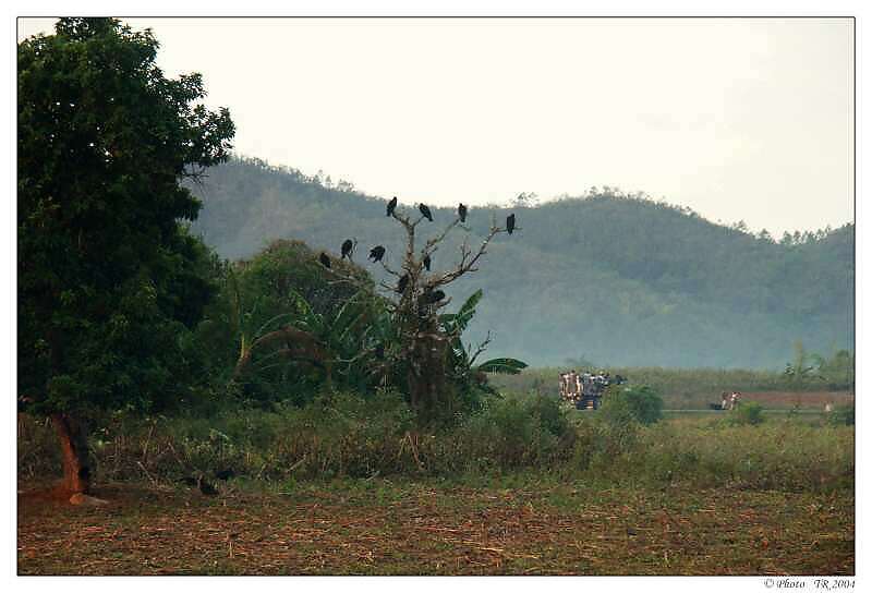 188 Valle de Vi�ales s kondorem krocanovit�m 