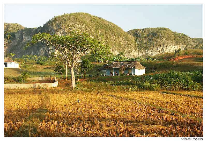 190 Valle de Vi�ales 