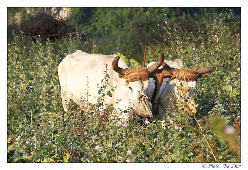 193 Valle de Vi�ales 