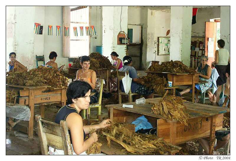 204 T��d�rna tab�ku 