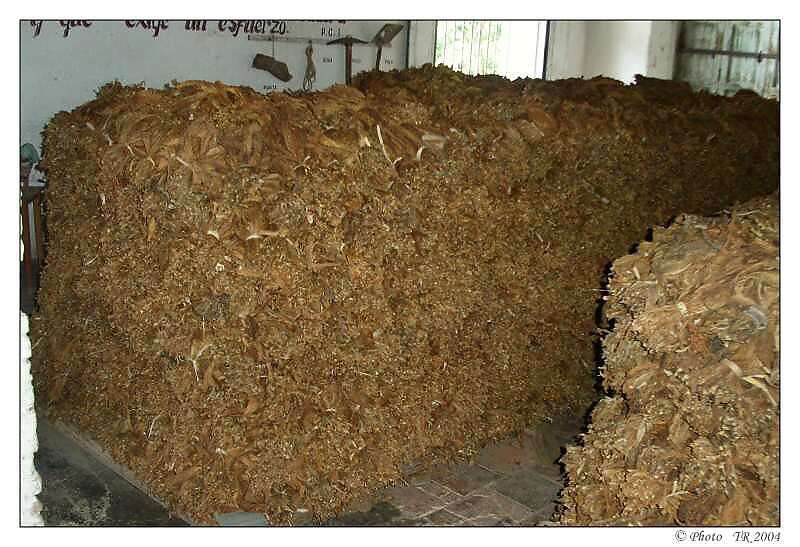 206 Fermentace tab�ku 