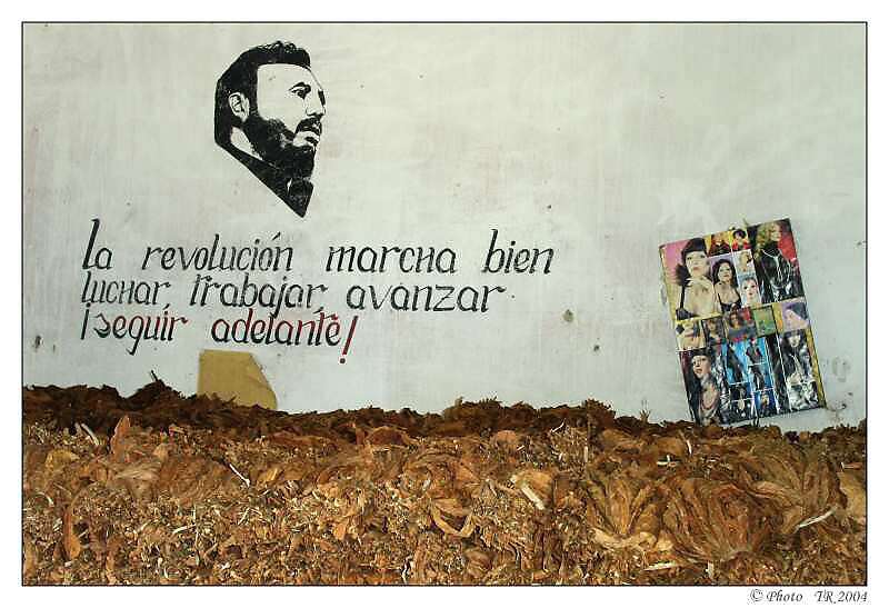 207 trocha idej�... 