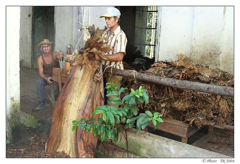 209 vlh�en� tab�kov�ch list� ur�en�ch pro v�voz 