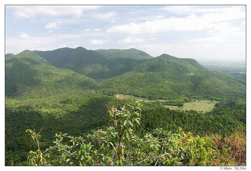 226 um�le zalesn�n� kopce chr�n� choulostiv� k�vovn�ky 