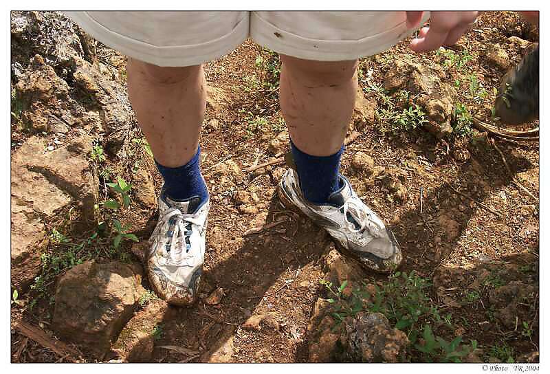 276 cesta na vrchol El Yunque byla bahnit� 