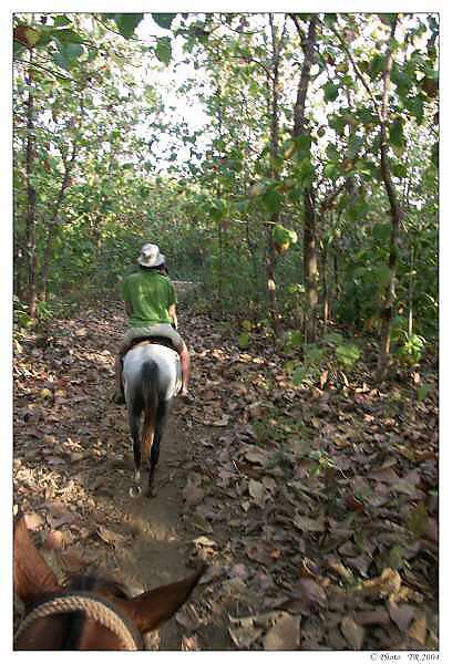 484 Trinidad, proj��ka  po Valle de los Ingenios, �dol� cukrovar� 