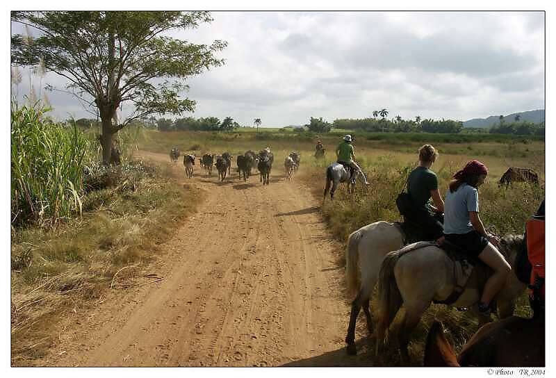 503 Trinidad, proj��ka  po Valle de los Ingenios, �dol� cukrovar� 