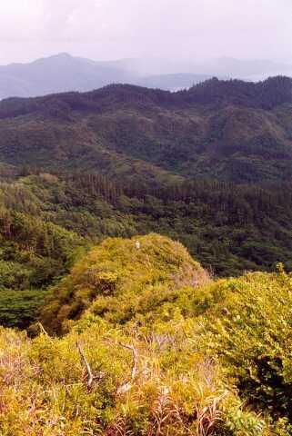 063 trek p�es Plato Temehani 