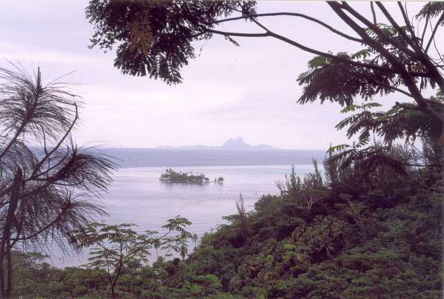 065 v d�lce Bora Bora 