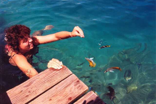 076 Krmen� rybi�ek 