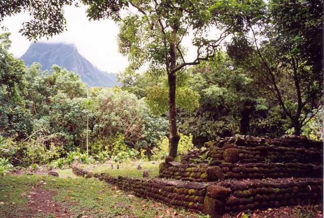 141 Opunohu Valley 