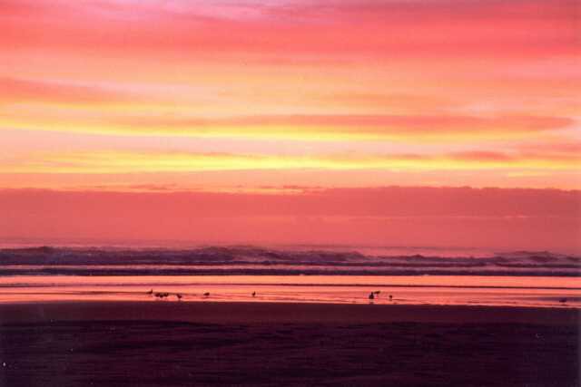 201 V�chod slunce nad Waihi Beach 