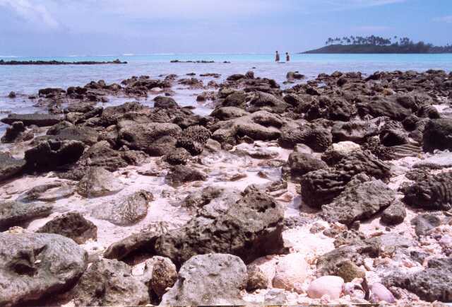 242 Atolov� kor�lov� pob�e�� 