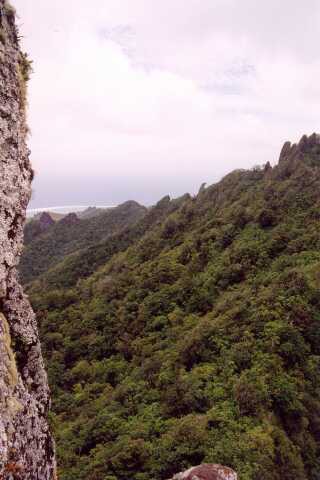 268 Needle je v maor�tin� Te Rua Mang� 