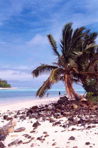 276 Pl�e z rozdrcen�ch mu�l� a kor�l� 