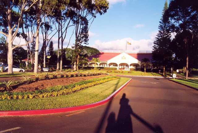 334 D�m pln� ananasu 