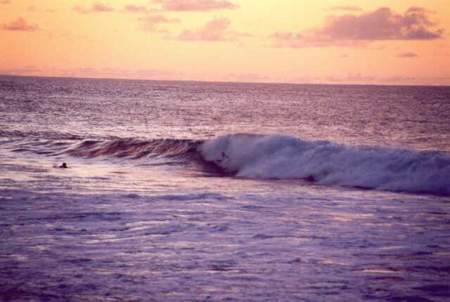 336 Hr�tky ve vln�ch Pacifiku 